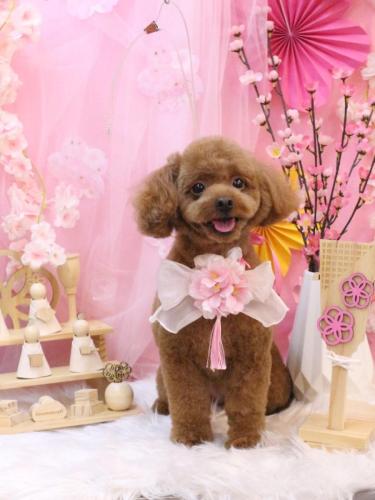 20250313ベルくん